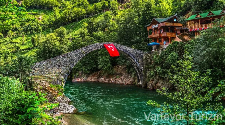 Çiçekli Kalei Bala