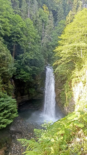 Ayder Kavrun Avusor Huser Günbatımı Turu