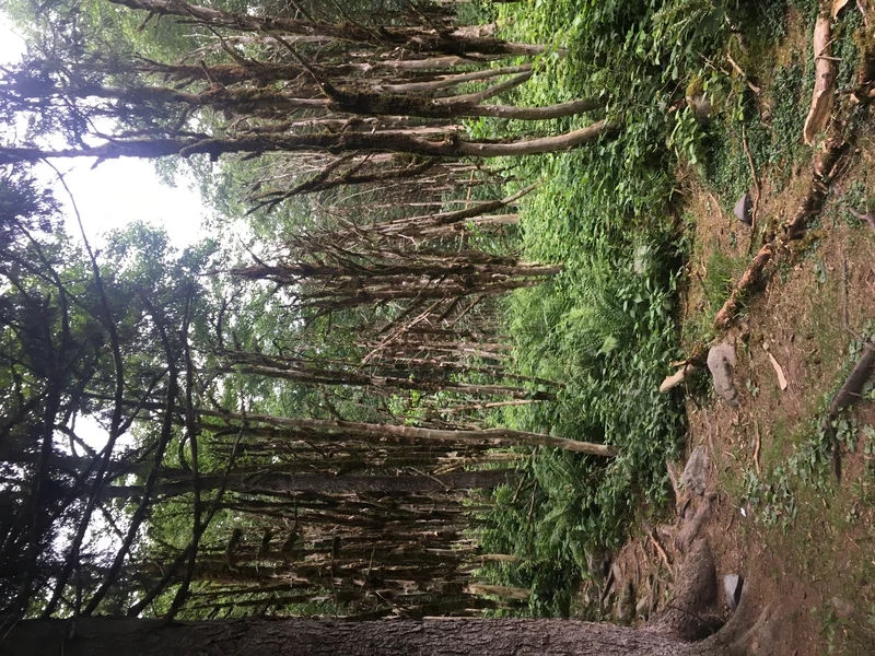 Ayder Kavrun Avusor Huser Günbatımı Turu